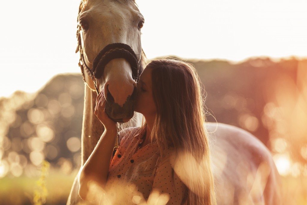 Woman kissing a horse with halters and hackamores