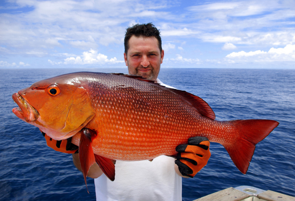 Lucky fisherman holding a beautiful red snapper